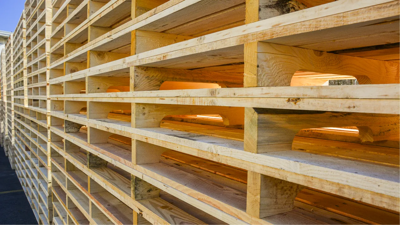 foto dei scaffali in legno