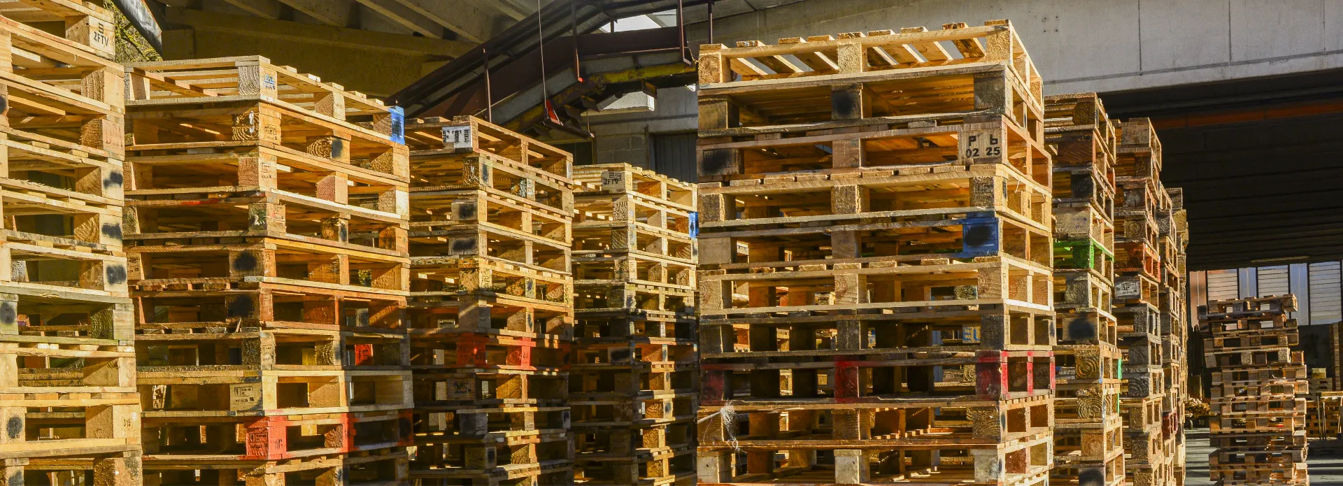 foto dei pallets nel magazzino