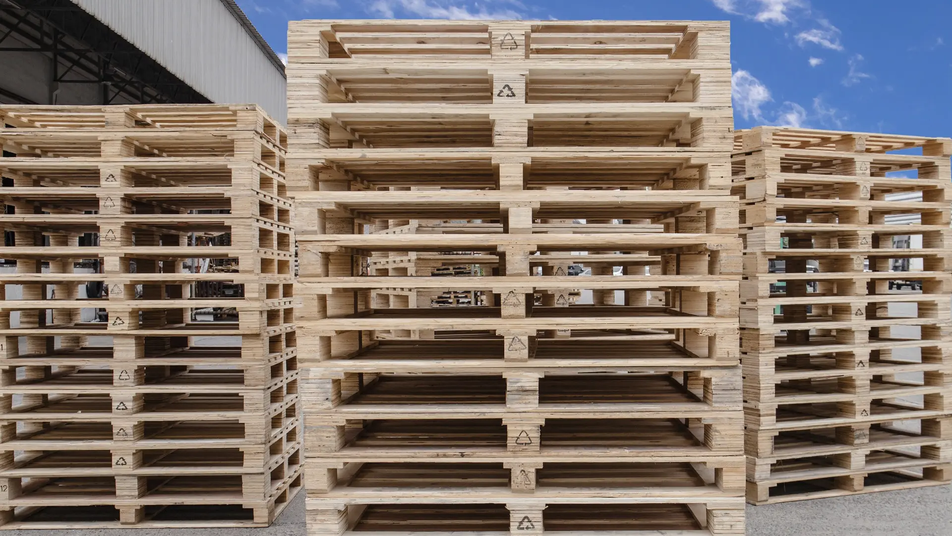 immagine struttura del legno